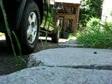 th_MVI_3920.jpg