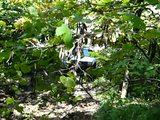 th_PICT0978.jpg