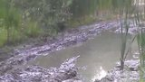 th_VIDEO0037-1.jpg