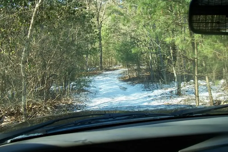 trail1.jpg