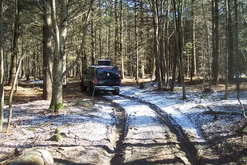 trail2.jpg