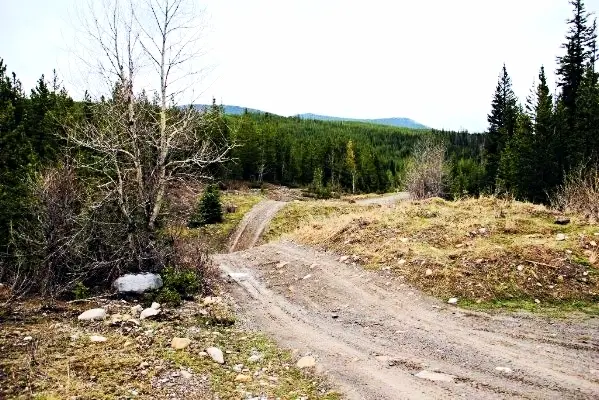 trail_zpssjts2xpl.jpg