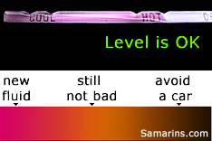 trannyfluid.jpg