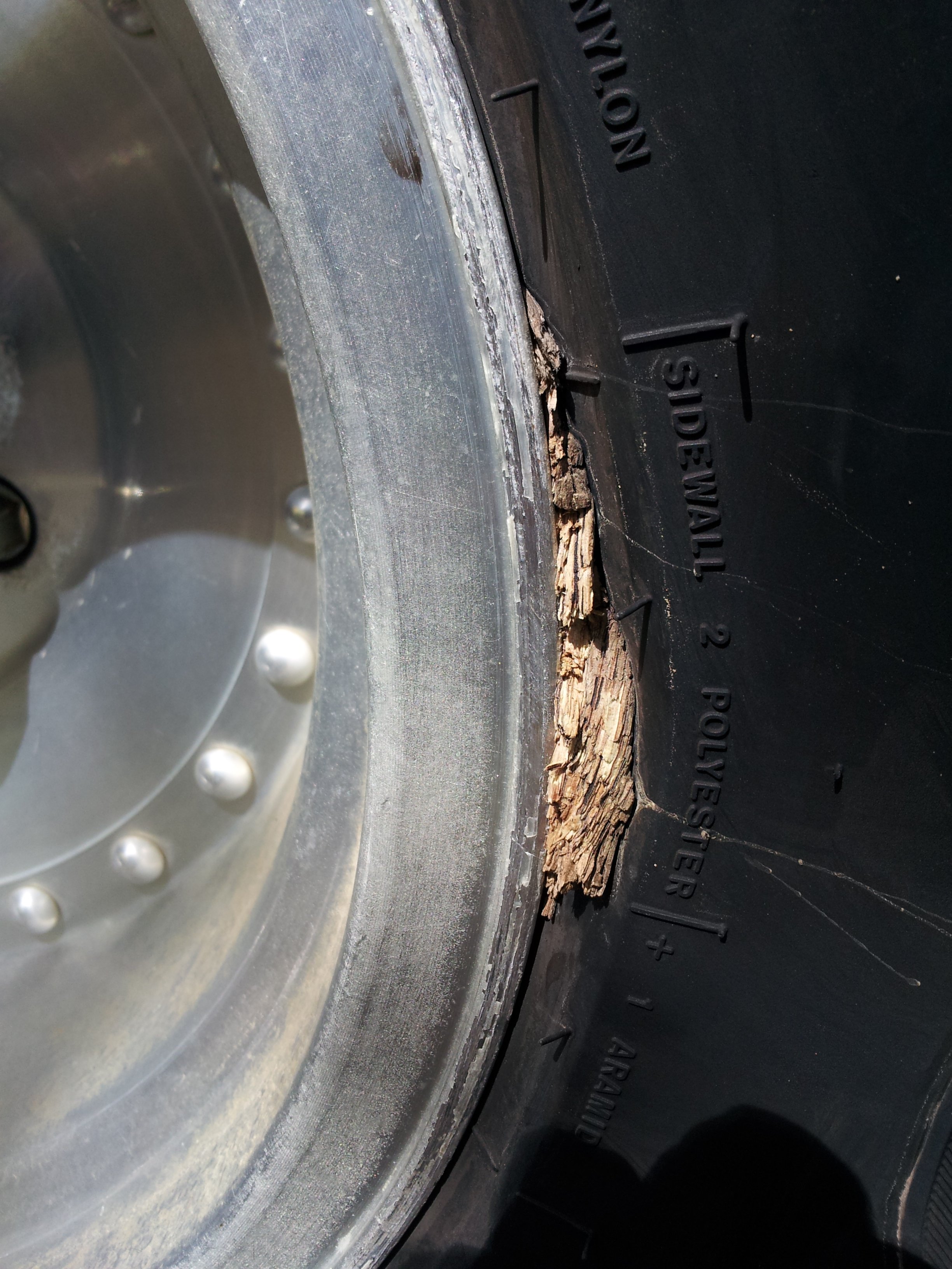 Tree root in wheel.jpg