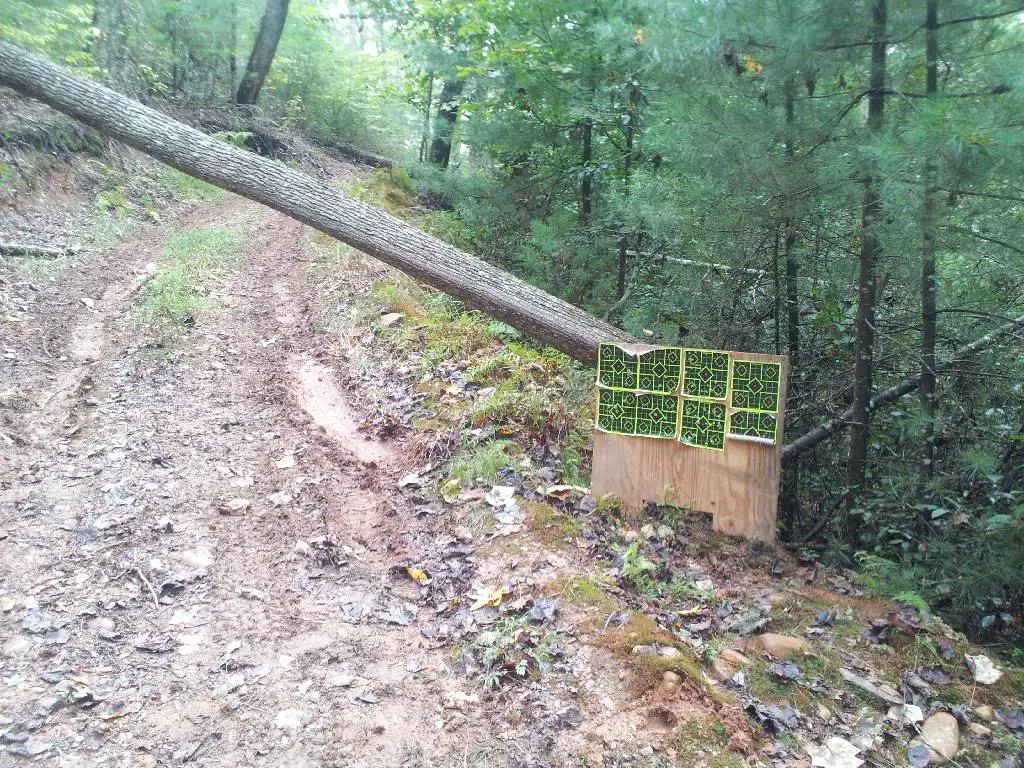 tree1_zps5q3t4ehu.jpg