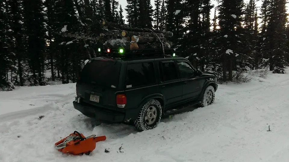 Treecutting_zps5b4db024.jpg