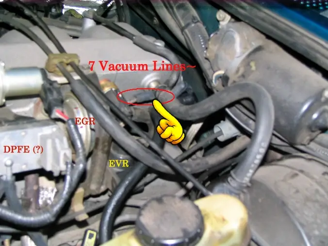 Vacuum-Line.jpg