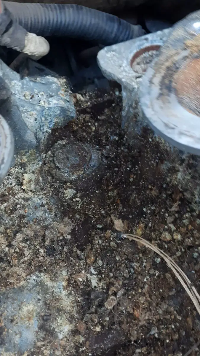 VideoCapture_20240510-135106.jpg