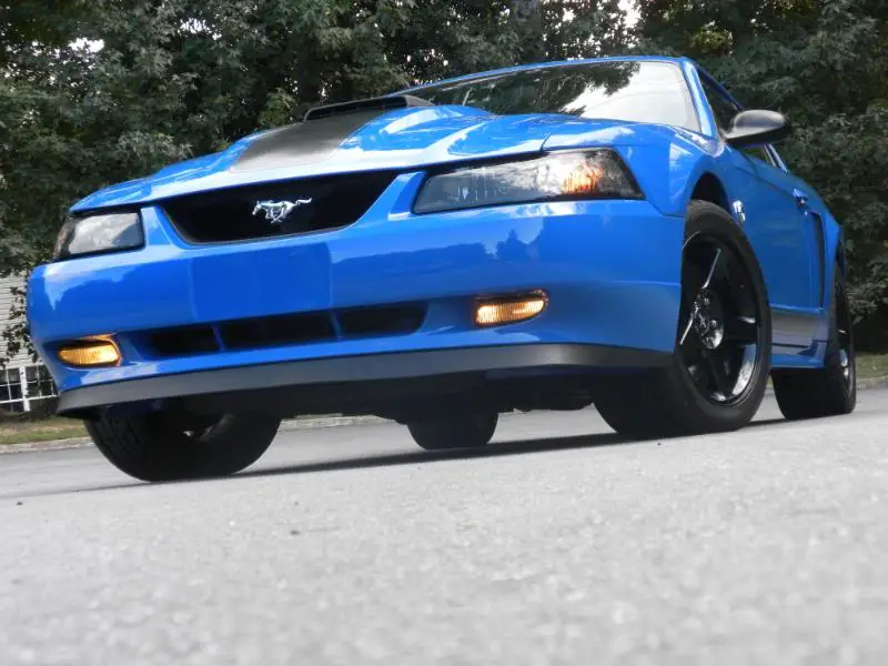 WaxDay10310001.jpg