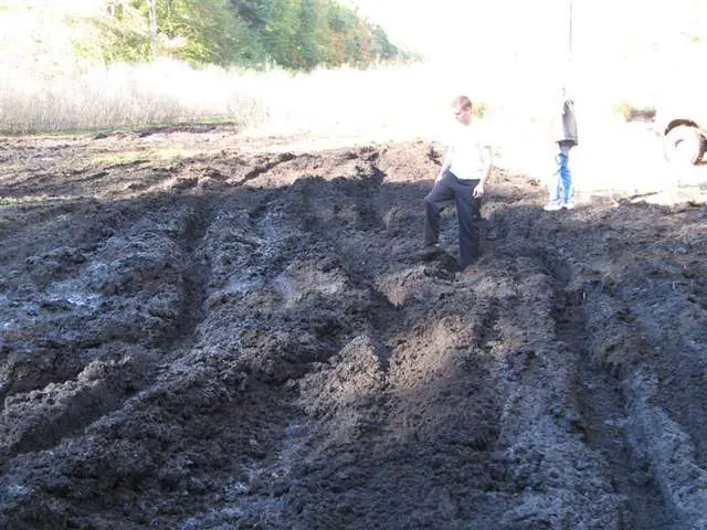 WB_Mud_1_Medium_.jpg