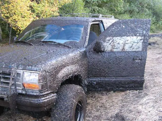 WB_Mud_4_Medium_.jpg
