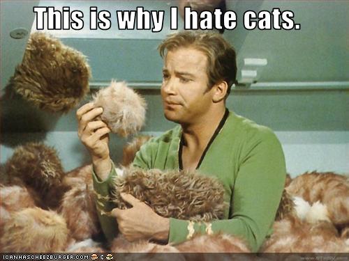 why-i-hate-cats.jpg