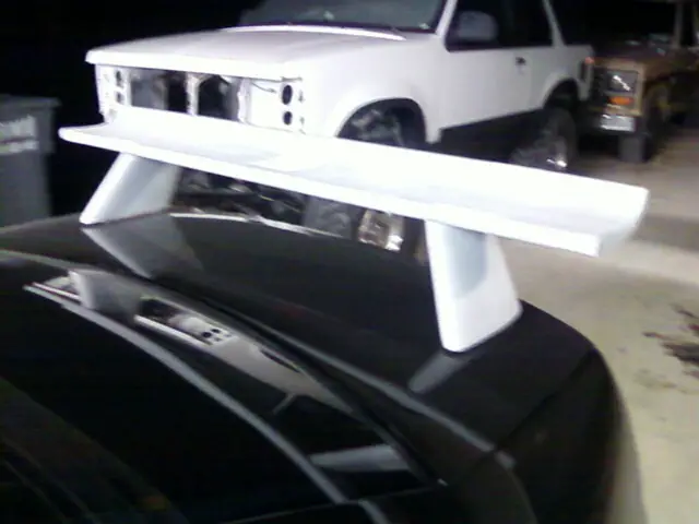 wing_1.jpg