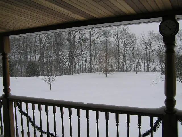 winter1.jpg