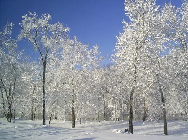 winterriver-1.jpg