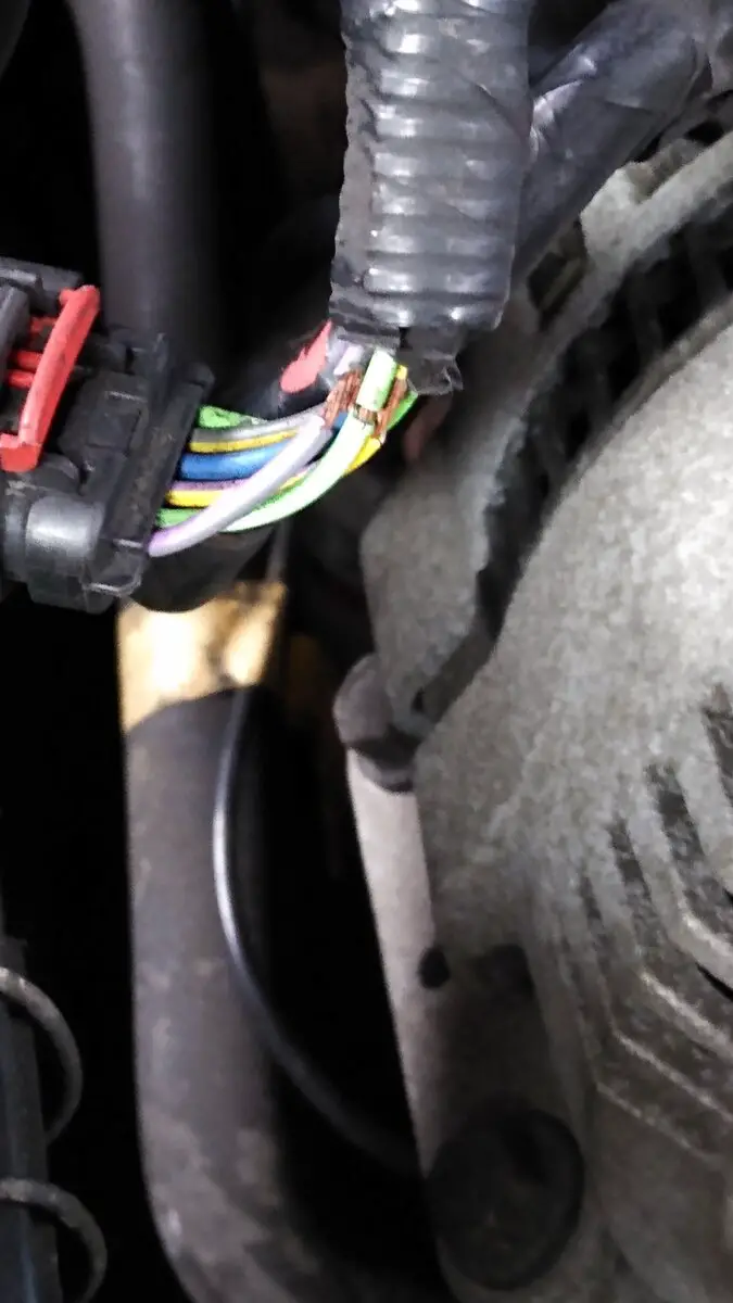 Wires.jpg