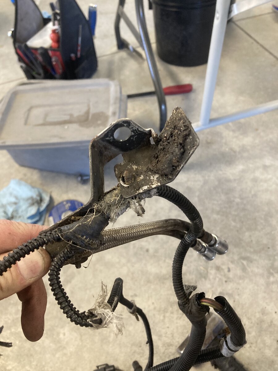 wiring clean up.jpg