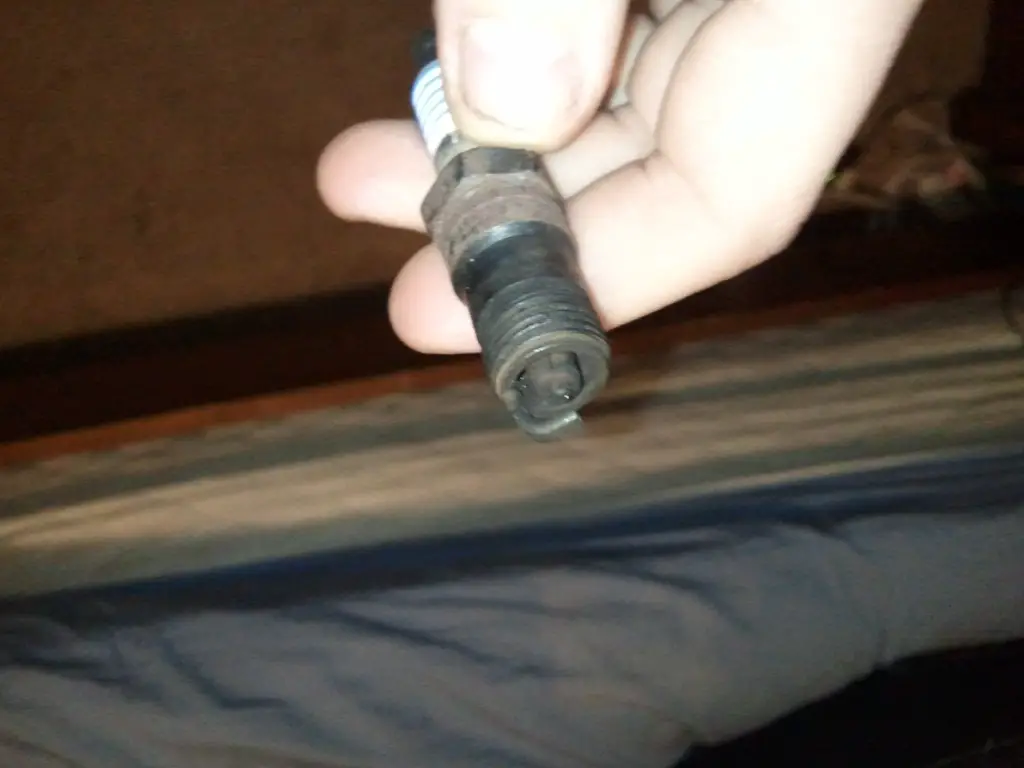 WP_000219.jpg