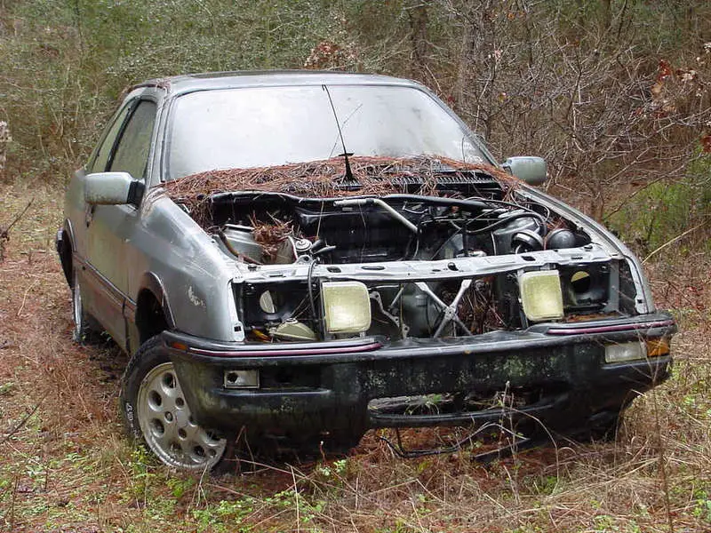 xr2.jpg