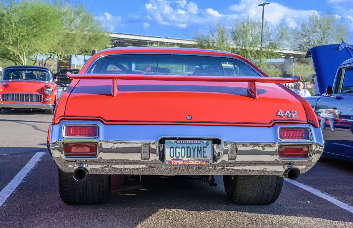 Z9P_5493.jpg