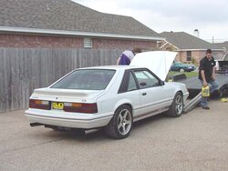 rear side.jpg