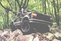 Rockin RC.jpg