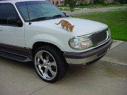 OliverTruck2.jpg