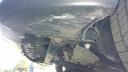 IMG_20200410_074227914.jpg