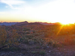 Desert-Sunrise.jpg