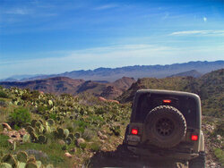Summit-Run-Back-2.jpg