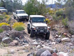 Jeep-Flex.jpg