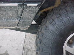 trimfront1.jpg