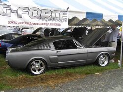 graystang.jpg