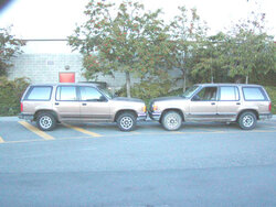 p91100742xs.jpg