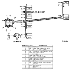 tcc 95a.gif