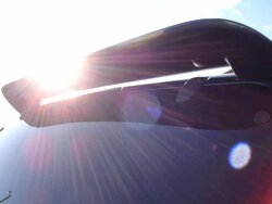 saleen wing.jpg
