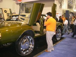 SEMA 018 (Medium).jpg