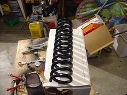 BDS 6 inch coils.JPG