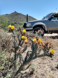 IMG_20200502_141736295_HDR.jpg