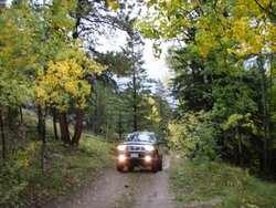 truck in aspens on hill.JPG