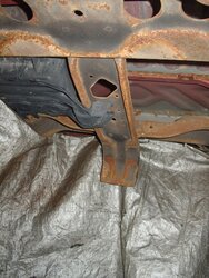 01 - Tire Shield.JPG