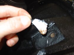 Bolt Plug.JPG