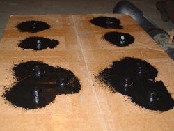 Painted Diff Cover Bolts.JPG