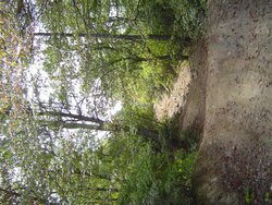 DSC07723 (Small).JPG