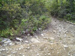 DSC07762 (Small).JPG