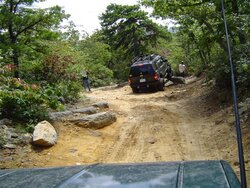 DSC07784 (Small).JPG