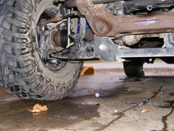 DSCF5107 (Small).JPG