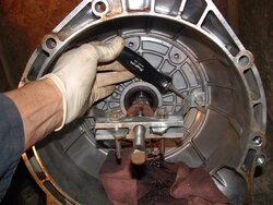 DSCF0009 (Medium).JPG
