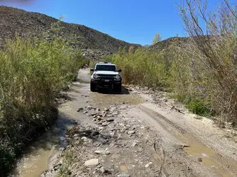 Wet Bronco.jpeg