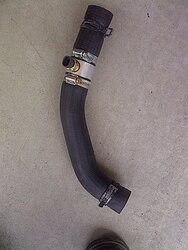 lower rad hose w sensor.jpg